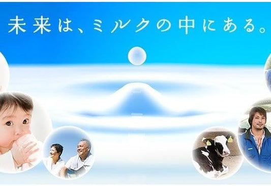 メグミルク 北海道スキムミルク 360g×3袋