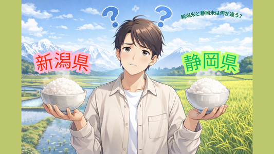 新潟米と静岡米の違いを徹底比較｜コシヒカリの由来・味・おすすめ用途まで解説